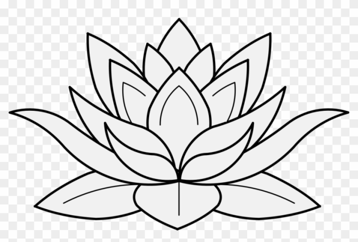 how to draw a lotus flower-saigonsouth.com.vn