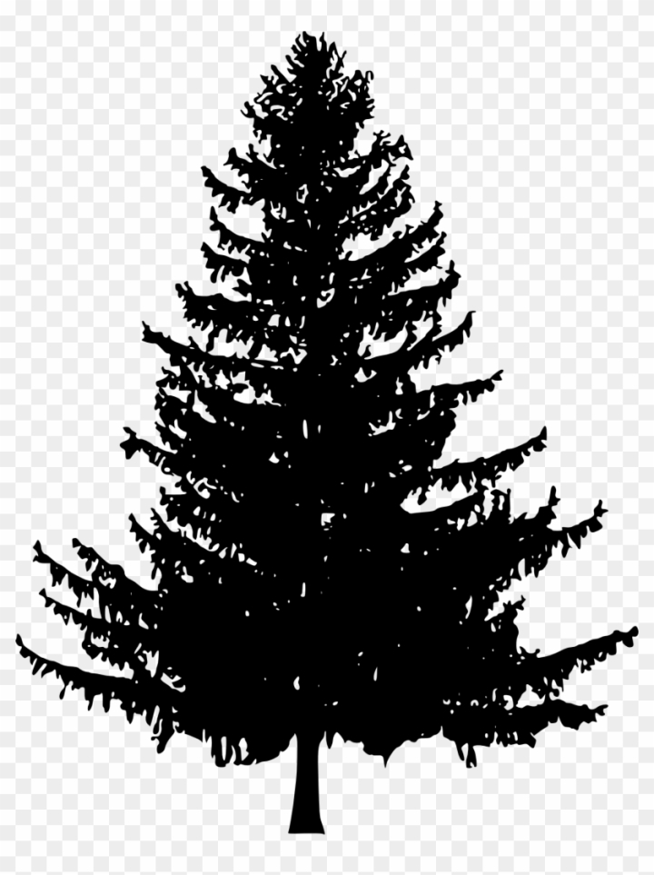 Pine Tree Drawing: Easy, Cute Instructions - Drawings Of...