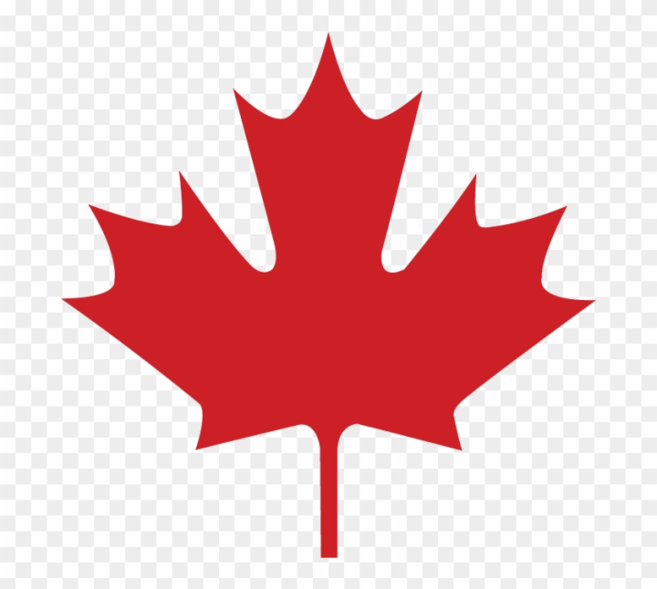 leaf,leaf pattern,canada map,tropical,spring,pattern,map,palm,nature,country,summer,travel,plant,symbol,green leaf,british,tree,flag,flowers,canada flag,autumn,geography,autumn leaves,world,forest,vancouver,fall leaves,usa,fall,canada day,vines,canadian,natural,canada goose,floral,map of canada,season,columbia,flower,national,png,comclipartmax