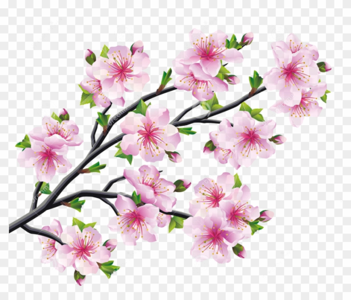fruit,japanese,leaf,asia,illustration,asian,trees,culture,petals,gate,wood,sakura flower,vintage,traditional,family tree,template,nature,temple,forest,symbol,draw,card,house,flowers,leaves,sketch,three,spring,christmas tree,pencil,branch,plants,tree of life,isolated,tree silhouette,sakura,tree branch,retro,abstract christmas tree,plant,png,comclipartmax