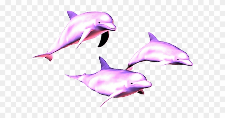 background,sea,treatment,ocean,80s,marine,medicine,animal,rose,aquatic,health,dolphins,retro,swim,beauty,animals,wallpaper,shark,spa,water,trendy,fish,flower,silhouette,neon,swimming,roses,whale,style,dolphin jumping,pattern,turtle,geometric,dolphin fish,decoration,jump,bright,fins,backdrop,silhouettes,png,comclipartmax