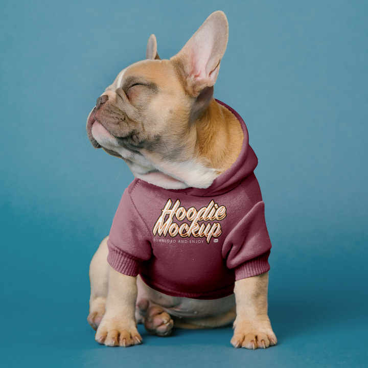 animal mockup,Dog,Free,Small,Hoodie,Mockup,apparel,cotton hoodie,dog hoodie,dog wear,fashion wear,material hoodie,animal fashion