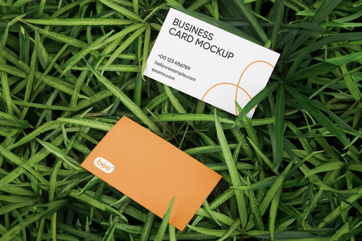 Free,Business,Card,in,Grass,Mockups,business card,corporate,eco card,paper card,stationery,visiting card