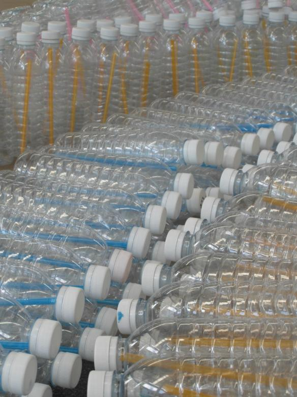 Clear Plastic Water Bottles With Blue Caps Stock Photo - Download