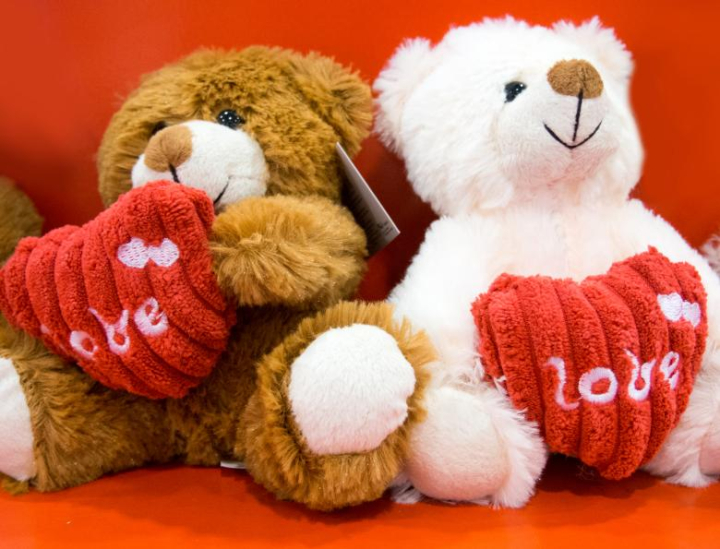 bear,toy,heart,plush,love,red,brown,friendship,symbol,composition,valentine,netstockvault
