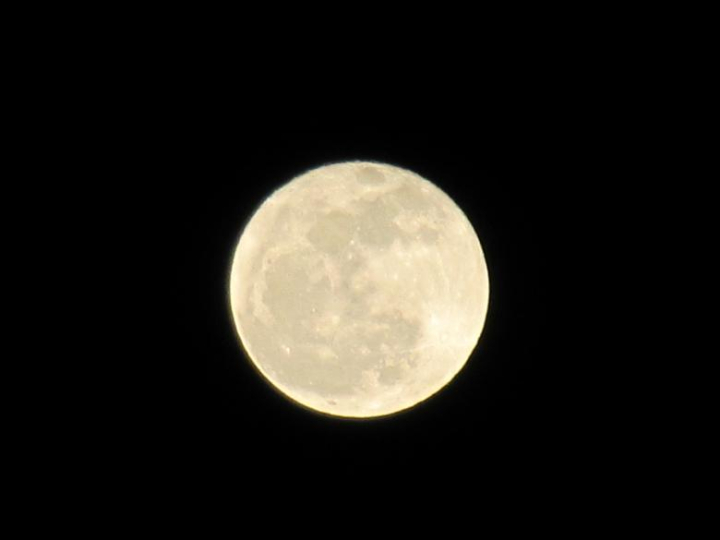 full,moon,closeup,close-up,surface,space,sky,night,dark,netstockvault