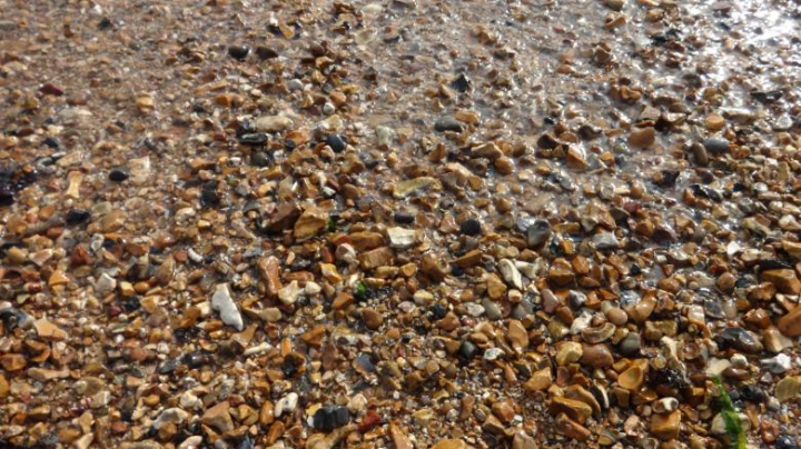 pebbles,sea,shore,netstockvault