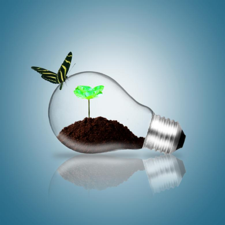 plant,soil,bulb,dirt,nature,concept,grow,lamp,light,leaf,symbol,illustration,seed,ecology,energy,environment,tree,sprout,flower,seedling,growth,ideas,environmental,green,power,eco,lightbulb,isolated,innovation,recycling,electricity,technology,global,renewable,resource,fertilize,pollution,kyoto,supply,equipment,small,protection,solution,inside,sustainable,warming,fertilization,savings,ecofriendly,natural,earth,creative,spring,life,black,idea,design,background,glass,land,ground,up,bright,grass,summer,saving,conceptual,closeup,garden,cultivated,led,electric,lawn,glowing,efficiency,solar,efficient,continents,alternative,ecologic,ecological,globe,seeding,sowing,sow,farming,hand,farm,peanut,concepts,cultivation,dirty,preparation,agriculture,bean,male,gardening,close-up,vegetable,close,beginnings,outdoors,work,detail,food,sapling,bud,seaside,fertility,sunny,trowel,pile,goal,macro,start,hope,focus,care,nurture,blue,selective,sky,seashore,sea,fresh,botany,new,shovel,unusual,bedrock,white,brown,yellow,vector,out,dig,abstract,season,grey,flat,interesting,shiny,find,underground,above,hunt,under,grunge,bucket,friendly,netstockvault