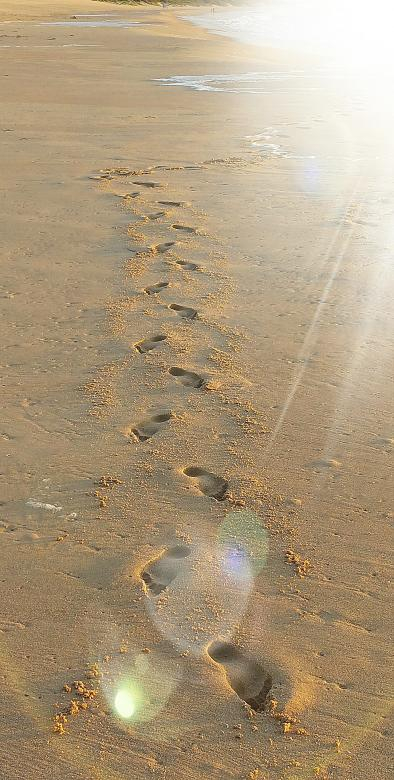footprints,beach,sand,sea,vacation,sun,rays,netstockvault