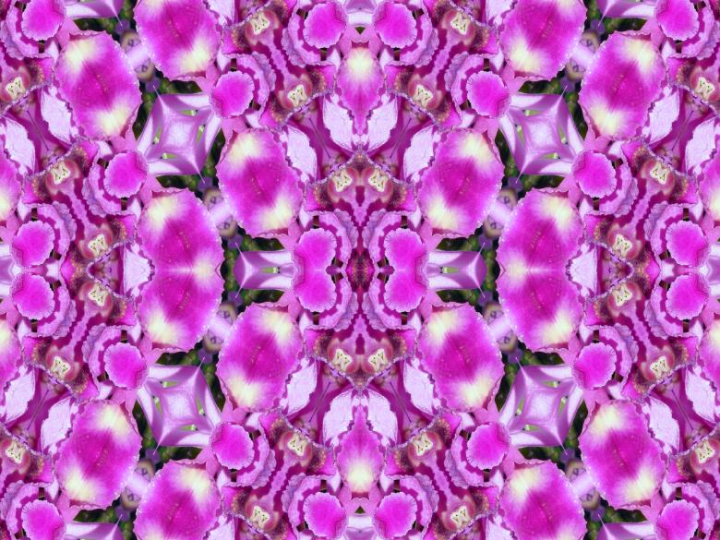 fractal,floral,flowers,background,symmetrical,symmetry,netstockvault