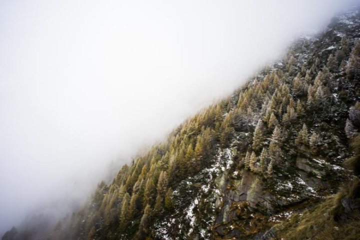 mountain,fog,cloud,trees,zero,visibility,netstockvault