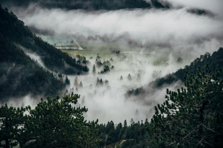 fog,valley,mountain,trees,green,morning,cloud,cold,netstockvault