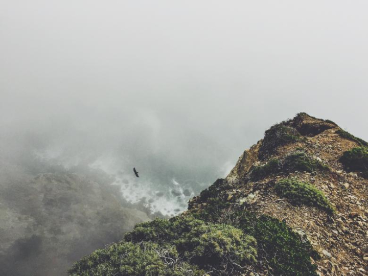 bird,mountain,rock,rocky,animal,fog,smoke,nature,landscape,netstockvault