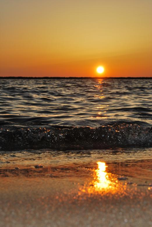 glare,reflection,light,sunset,nature,beach,shore,sea,flow,netstockvault