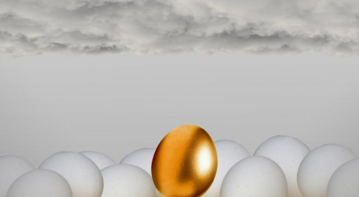 golden,egg,different,gold,eggs,animal,background,business,chance,closeup,concept,contrasts,conviction,detail,difference,differences,dinner,easter,exception,food,groceries,healthy,hen,growth,growing,savings,idea,individual,individuality,ingredient,luck,lunch,natural,nature,nutrition,odd,one,organic,shell,similarity,single,substitute,success,surprise,unique,wealth,white,netstockvault