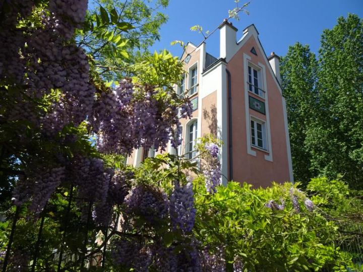 architecture,construction,house,home,plants,wisteria,trees,pink,netstockvault