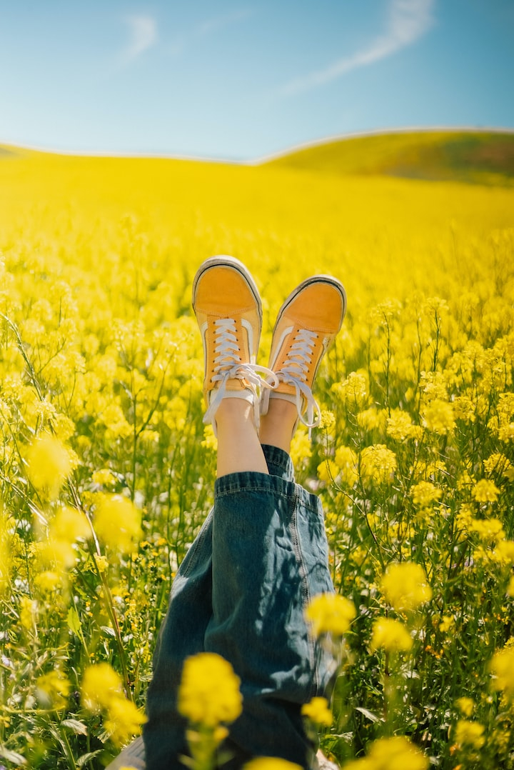 yellow,yellow flowers,united states,san luis obispo,california pictures,style,expression,fashion,stylish,happiness,youth,hd pretty wallpapers,positive,lifestyle,beauty,female,model,confident,young,creative commons images,unsplash