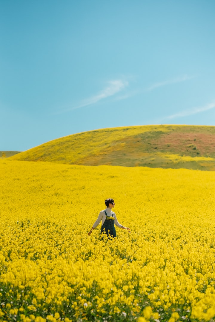 united states,san luis obispo,california pictures,female,women images & pictures,style,expression,fashion,stylish,happiness,youth,hd pretty wallpapers,positive,girls photos & images,lifestyle,beauty,beautiful pictures & images,model,confident,grassland,free stock photos,unsplash