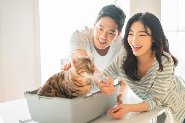 korean,an asian,man,vixen,midinette,woman,couple,newlywed,newmarried,family,cat,pet,pets,very small,minute,smile,laugh,inside,livingroom,table,timeout,rest,time off from work,a vacation,freely,warm,pleased,relaxed,a pleasing feeling,date,breeding,farming,xframe