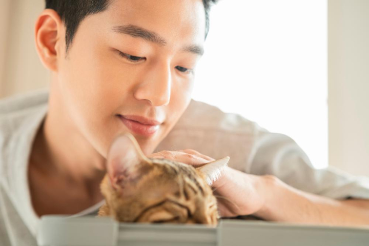 korean,an asian,man,family,cat,pet,pets,very small,minute,smile,laugh,inside,livingroom,timeout,rest,time off from work,a vacation,freely,warm,pleased,relaxed,a pleasing feeling,love,date,breeding,farming,close-up,close shot,xframe